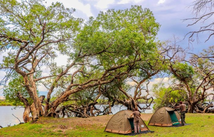 Feux de camps en Afrique australe