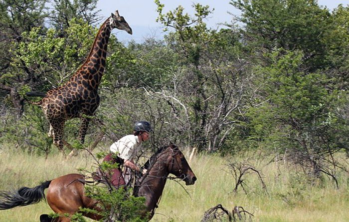 Votre échappée à cheval au Botswana