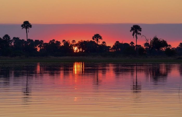 Réserves de Namibie & Delta de l’Okavango