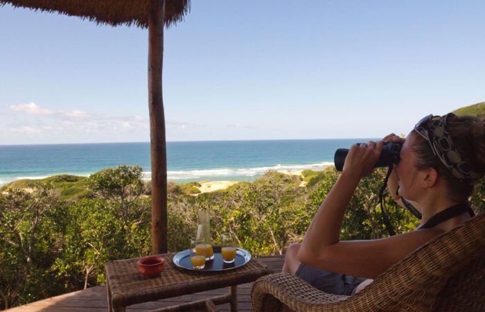 Ecolodge sur les dunes Roses du Mozambique