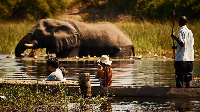 Road trip & bivouacs Okavango, Chobe et Zambèze