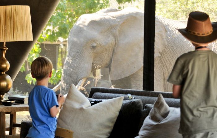 Votre safari en famille au royaume des éléphants